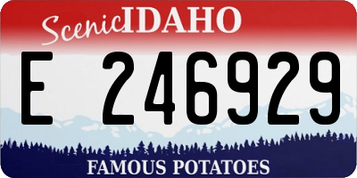 ID license plate E246929