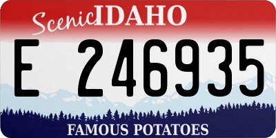ID license plate E246935