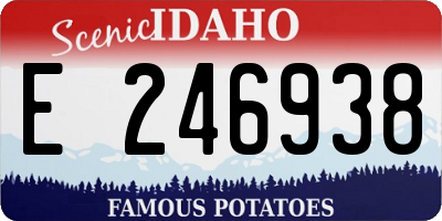 ID license plate E246938