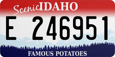 ID license plate E246951