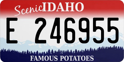 ID license plate E246955