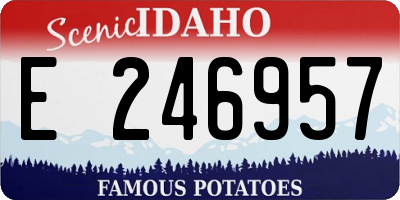 ID license plate E246957