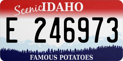 ID license plate E246973
