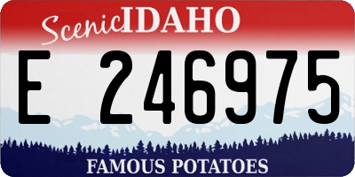 ID license plate E246975