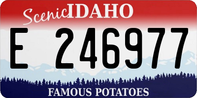 ID license plate E246977