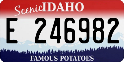 ID license plate E246982