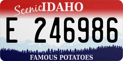 ID license plate E246986