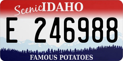 ID license plate E246988