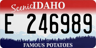 ID license plate E246989