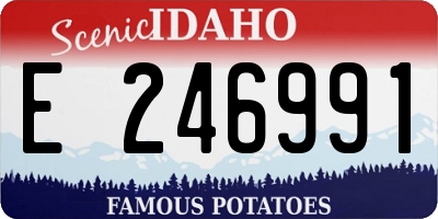 ID license plate E246991