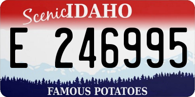 ID license plate E246995