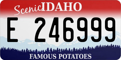 ID license plate E246999