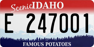 ID license plate E247001