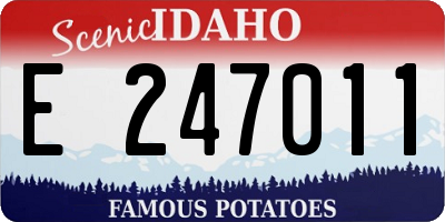 ID license plate E247011