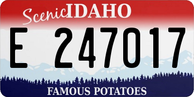 ID license plate E247017