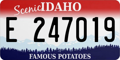 ID license plate E247019