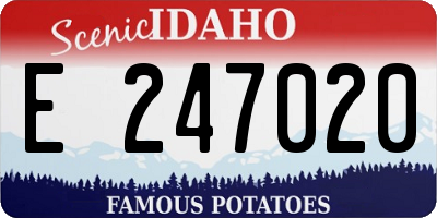 ID license plate E247020