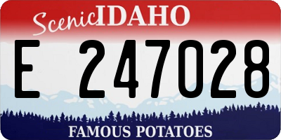 ID license plate E247028