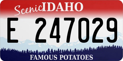 ID license plate E247029