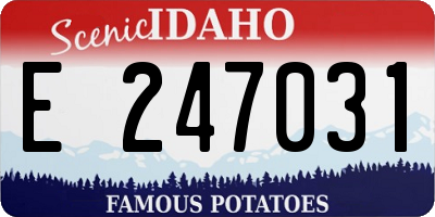ID license plate E247031