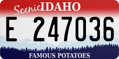 ID license plate E247036
