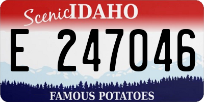 ID license plate E247046