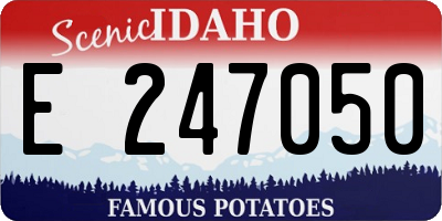 ID license plate E247050