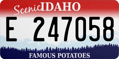 ID license plate E247058