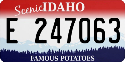 ID license plate E247063