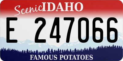 ID license plate E247066