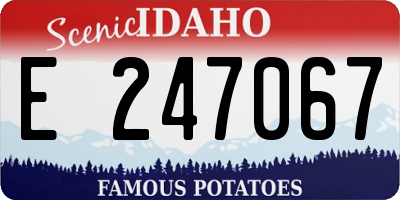 ID license plate E247067