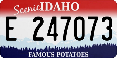 ID license plate E247073