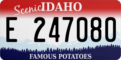 ID license plate E247080