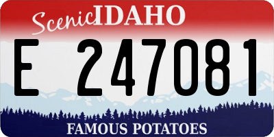 ID license plate E247081