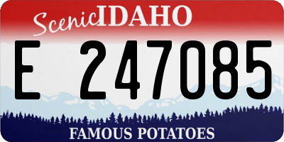 ID license plate E247085