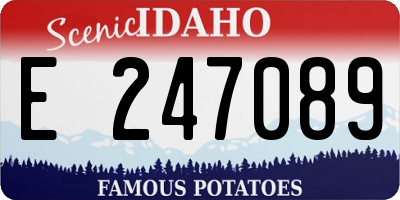 ID license plate E247089