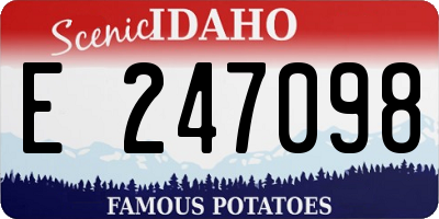 ID license plate E247098