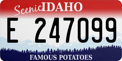 ID license plate E247099