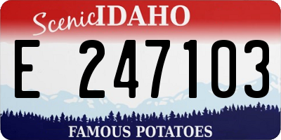 ID license plate E247103