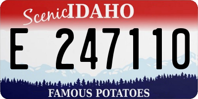 ID license plate E247110