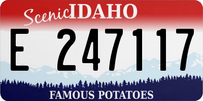 ID license plate E247117