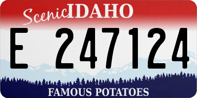 ID license plate E247124