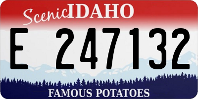 ID license plate E247132