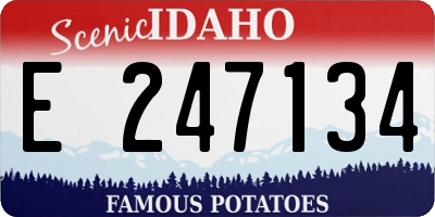 ID license plate E247134