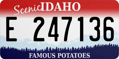 ID license plate E247136