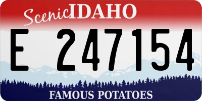 ID license plate E247154