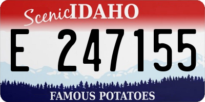 ID license plate E247155