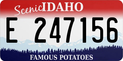 ID license plate E247156