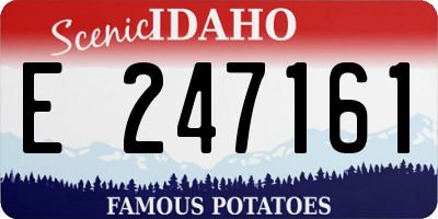 ID license plate E247161