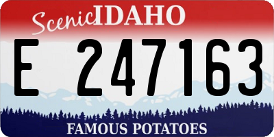 ID license plate E247163